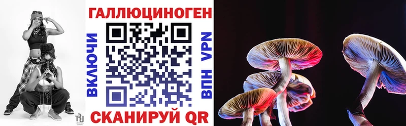 kraken вход  Качканар  Псилоцибиновые грибы GOLDEN TEACHER 